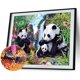 thumbnail image 2 of 5D DIY Diamond Painting Kits Full Square Drill Panda mosaico imagen pared arte Sywqhk Decoración hogareña, 2 of 9