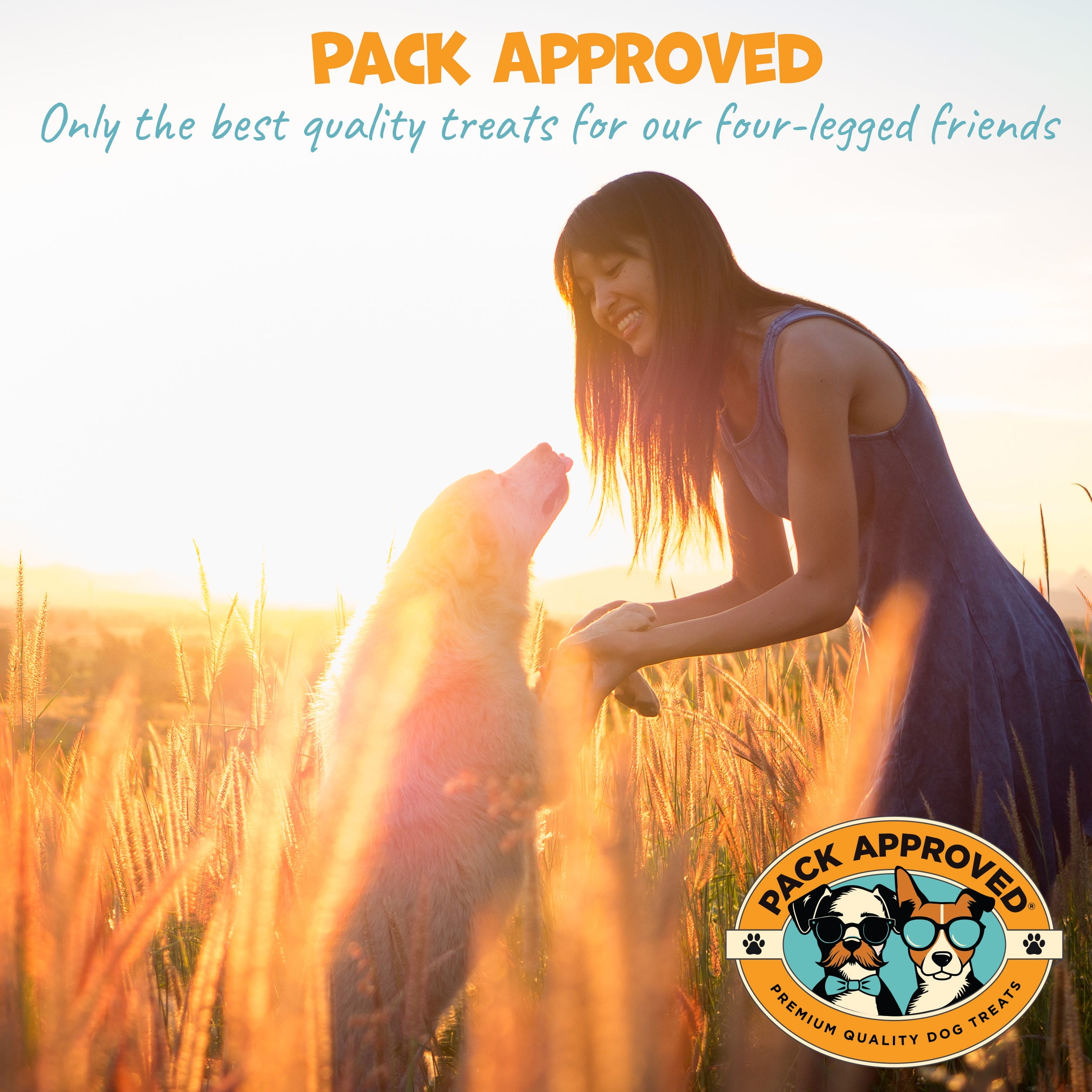 Pack Approved Chicken Sticks for Dogs - Dehydrated Chicken Dog Treats & Single Ingredient Dog Treat - High Protein, Low Fat Dog Treats - Chicken Treats for Dogs - Crunchy Dog Chew Sticks - 6.2oz