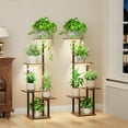 thumbnail image 1 of Soporte para plantas LATIBELL Indoor con luz de cultivo, paquete de 2 unidades y 5 niveles, 1 of 8