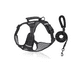 thumbnail image 2 of Pechera Arnés De Seguridad Para Perro Chico Mediano Y Grande Xtellar negro, 2 of 4