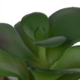 thumbnail image 2 of Kibo Mini Faux Succulent Stripe Pot, 2 of 5