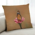 thumbnail image 1 of Ahgly Company Insects Butterfly Indoor Throw Pillow, 18 inch by 18 inch, 1 of 6
