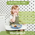 WeeSprout 100 Silicone, Suction Dishware Plate with Lids for Babies