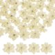 thumbnail image 1 of Uxcell 100-Pack Flores de Cinta de Satén, Flores de Tela Mini de 1.2 Pulgadas con Strass para Manualidades y Proyectos de Bricolaje Beige Blanco, 1 of 1