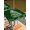 Green Dark Green, variant on Outdoor Tablecloth with Umbrella Hole and Zipper, Green Christmas Tree Rectangle Table Cloth 60x102 Inch Waterproof Tablecloth, Xmas Botanical Berry Snowflake Picnic Table Cover for Patio Camping