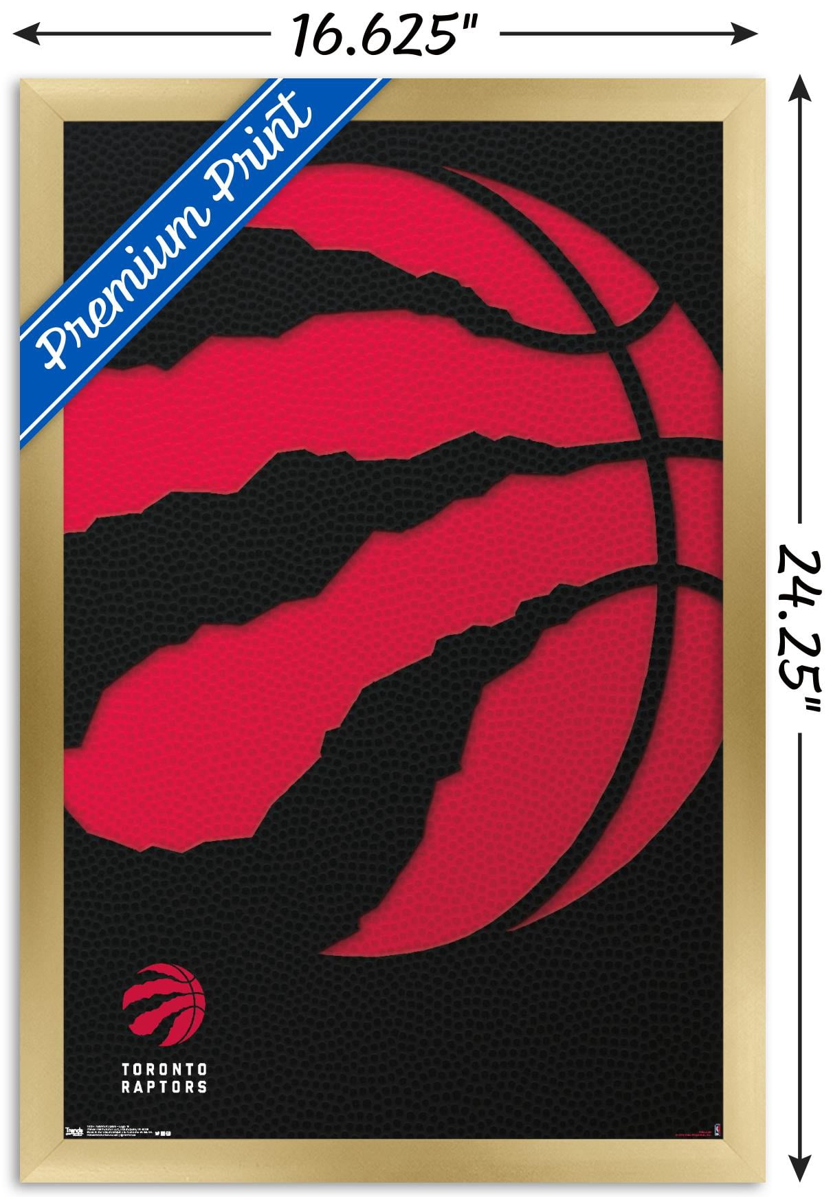 NBA Toronto Raptors - Logo 18 Wall Poster, 14.725" x 22.375", Framed