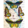 thumbnail image 2 of Butler, John 15x18 White Modern Wood Framed Museum Art Print Titled - Butterfly Map III, 2 of 4