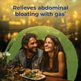 thumbnail image 5 of Boiron Carbo Vegetabilis 30C, Homeopathic Medicine for Digestive Relief, 80 Pellets, 5 of 12