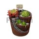thumbnail image 3 of For Hanging Garden Potted Microlandscape Meat Plant Pots, 3 of 5