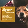 thumbnail image 5 of Zammex BeefyPaws™️ Bone Broth For Dogs & Cats, Grass-Fed Beef Bone Broth, Pet Food Topper For Picky Eaters, 100 Servings, 5 of 12