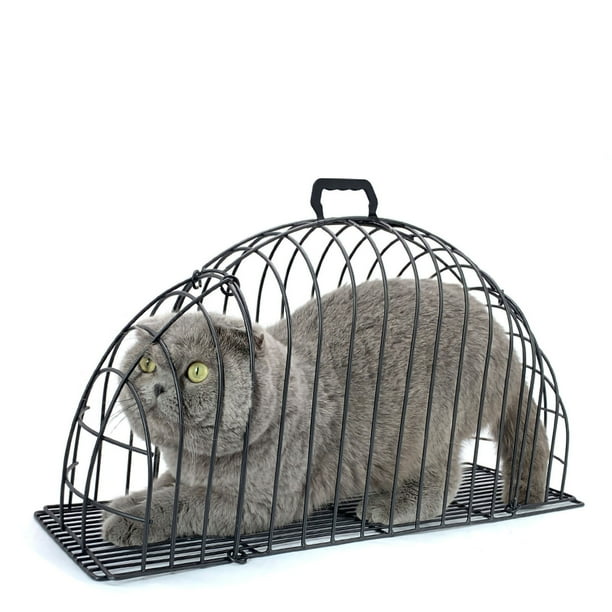 Kitten clearance cage walmart