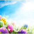 thumbnail image 1 of XDDJA Tissu Polyester 5x7ft Easter Day Oeufs dans l'Herbe Photographie Arrière-Plan Prop Photo Fond, 1 of 1