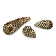Angle View: Set of 3 Eco Country Bronze Pine Cone Christmas Decorations 10.25"