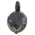 thumbnail image 3 of 5 Pieces Duck Hunting , Lifelike Floating Mallard Male Duck Decoy Decoying, 3 of 7