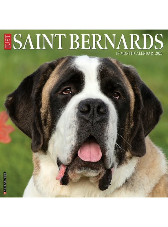 Just Saint Bernards 2025 12 X 12 Wall Calendar (Other)
