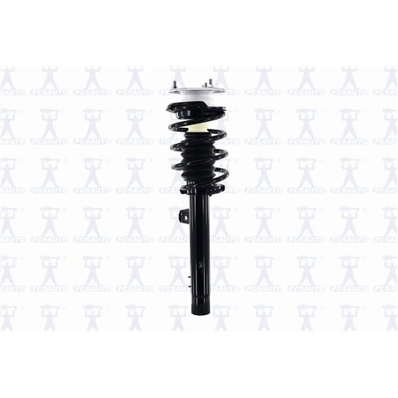 Suspension Strut and Coil Spring Assembly