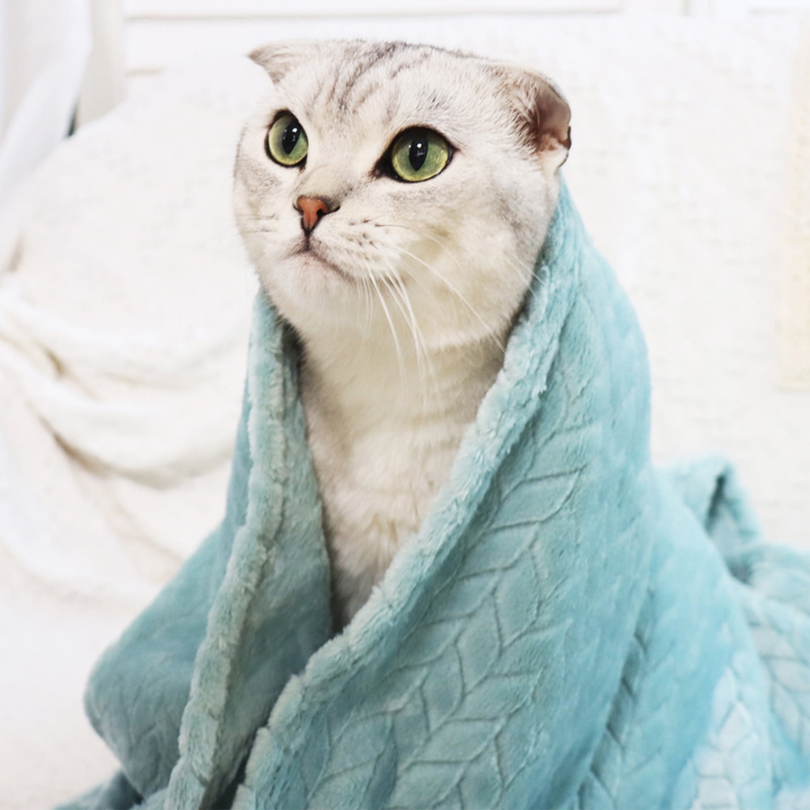 Up to 50 Off Home Appliances Throw Blankets Soft Fuzzy Warm Fuzzy Throw Blankets Couch Fleece Throw Blankets Bed Cozy Machine Washable Plush Thick