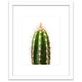 thumbnail image 2 of Humble Chic Spiky Cactus Plant Succulent, 11x14 Frame with 8x10 Print - Framed Modern Botanical Wall Art, 2 of 8