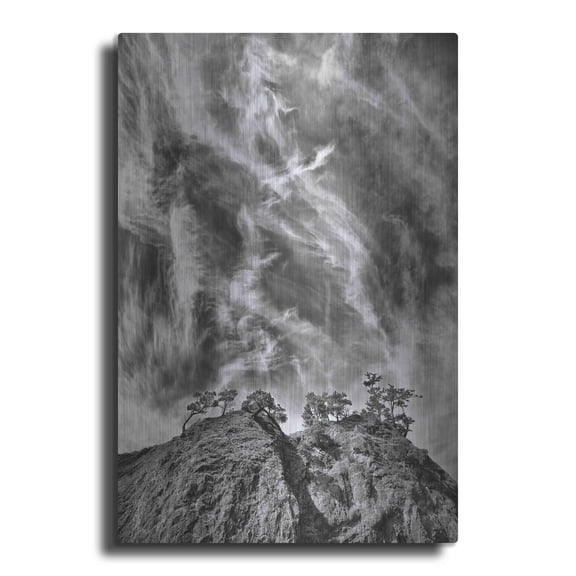 Luxe Metal Art 'Tree Island Clouds B&W Pushed' by Thomas Haney, Metal Wall Art, 12"x16"
