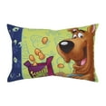 Warner Brothers Scooby Doo Blue and Green 4 Piece Toddler Bedding Set