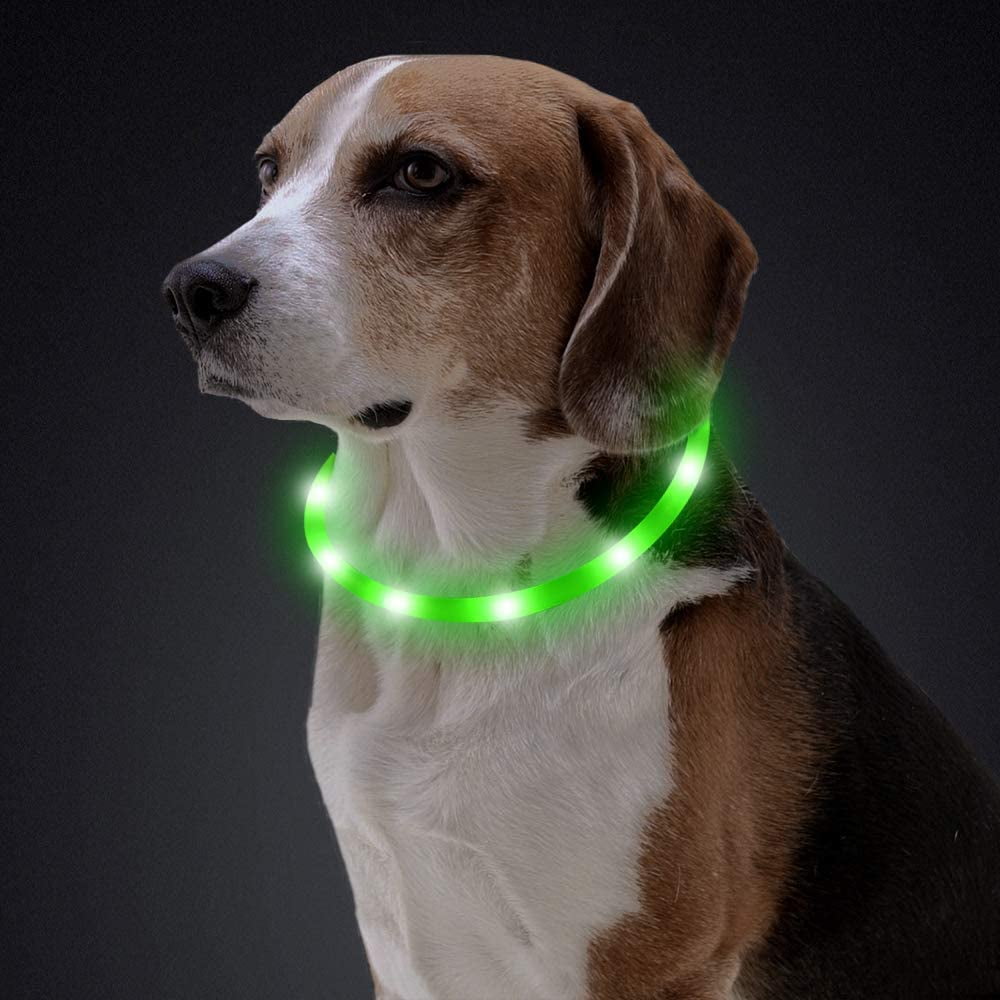 Should You Keep A Collar On A Puppy All The Time