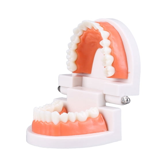 Vogacara Juguetes educativos para niños, aprendizaje, cepillado de dientes, ayuda didáctica interactiva para padres e hijos, accesorio de Juguetes Educativos
