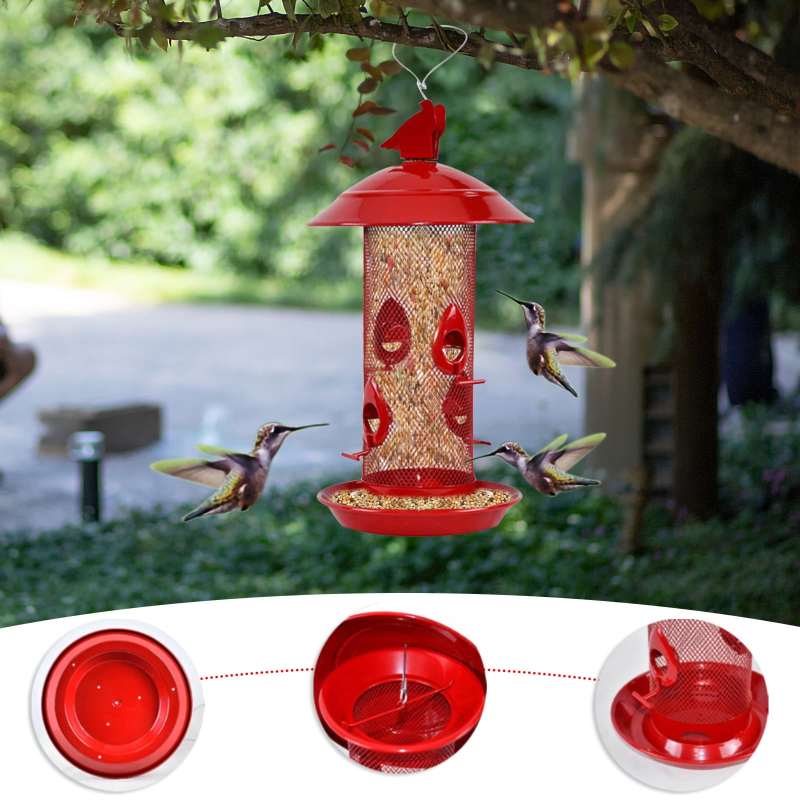 red finch feeder