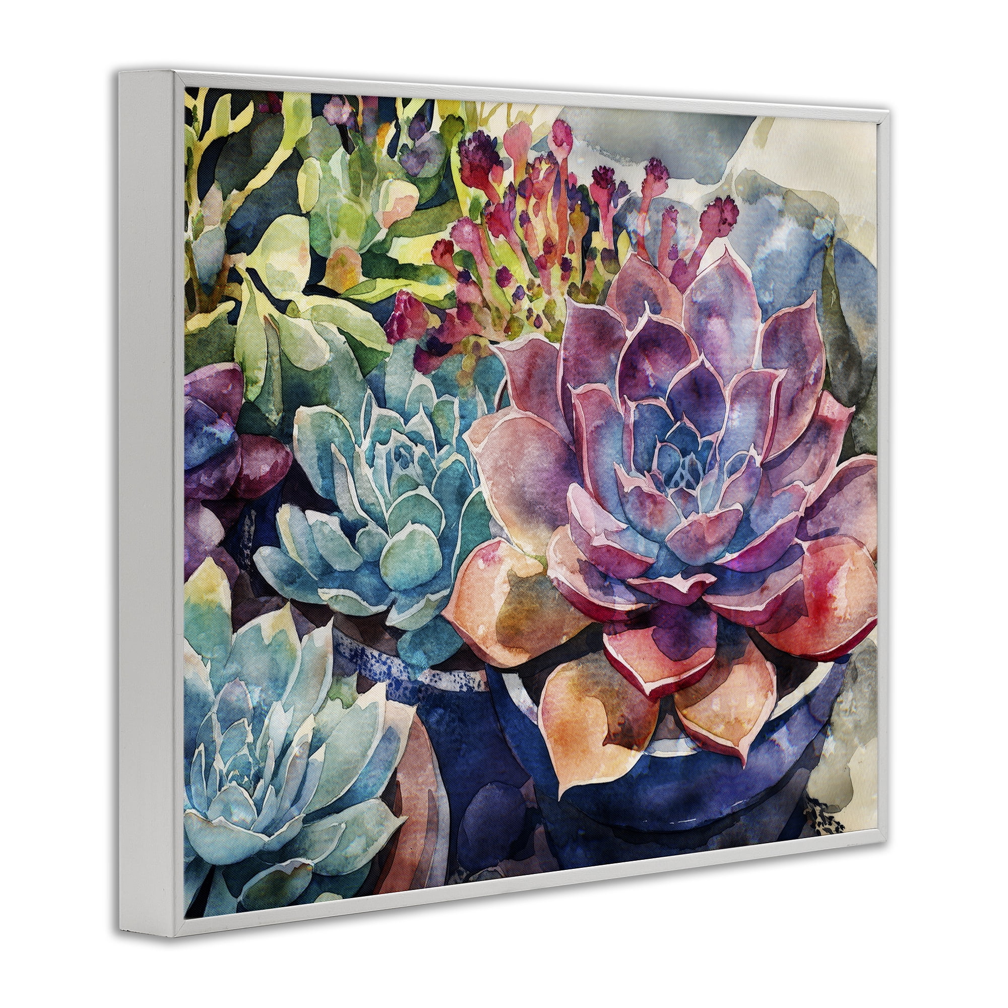 Stupell Industries Sun Kissed Succulents White Framed Giclee Art, design by Svetlana Aleynikova