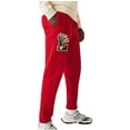 thumbnail image 2 of Men's Lacoste Red Pennants L Badge Fleece Tracksuit Pants - 5/L, 2 of 2