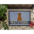 thumbnail image 3 of Carolines Treasures BB5663MAT Briard Brown Welcome Door Mat Indoor Rug or Outdoor Welcome Mat 18x27 Doormat  27"L x 18"W, 3 of 4