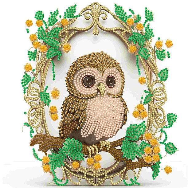 Kit 5D DIY Con Forma Especial Parcial Corona Búho 30x30cm