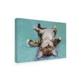 thumbnail image 3 of Trademark Fine Art Pat Saunders-White Little Napper Canvas Wall Art - 14x19, 3 of 5