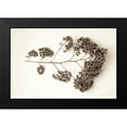 thumbnail image 2 of Blaustein, Alan 14x11 Black Modern Framed Museum Art Print Titled - Garden Bloom - 21, 2 of 5