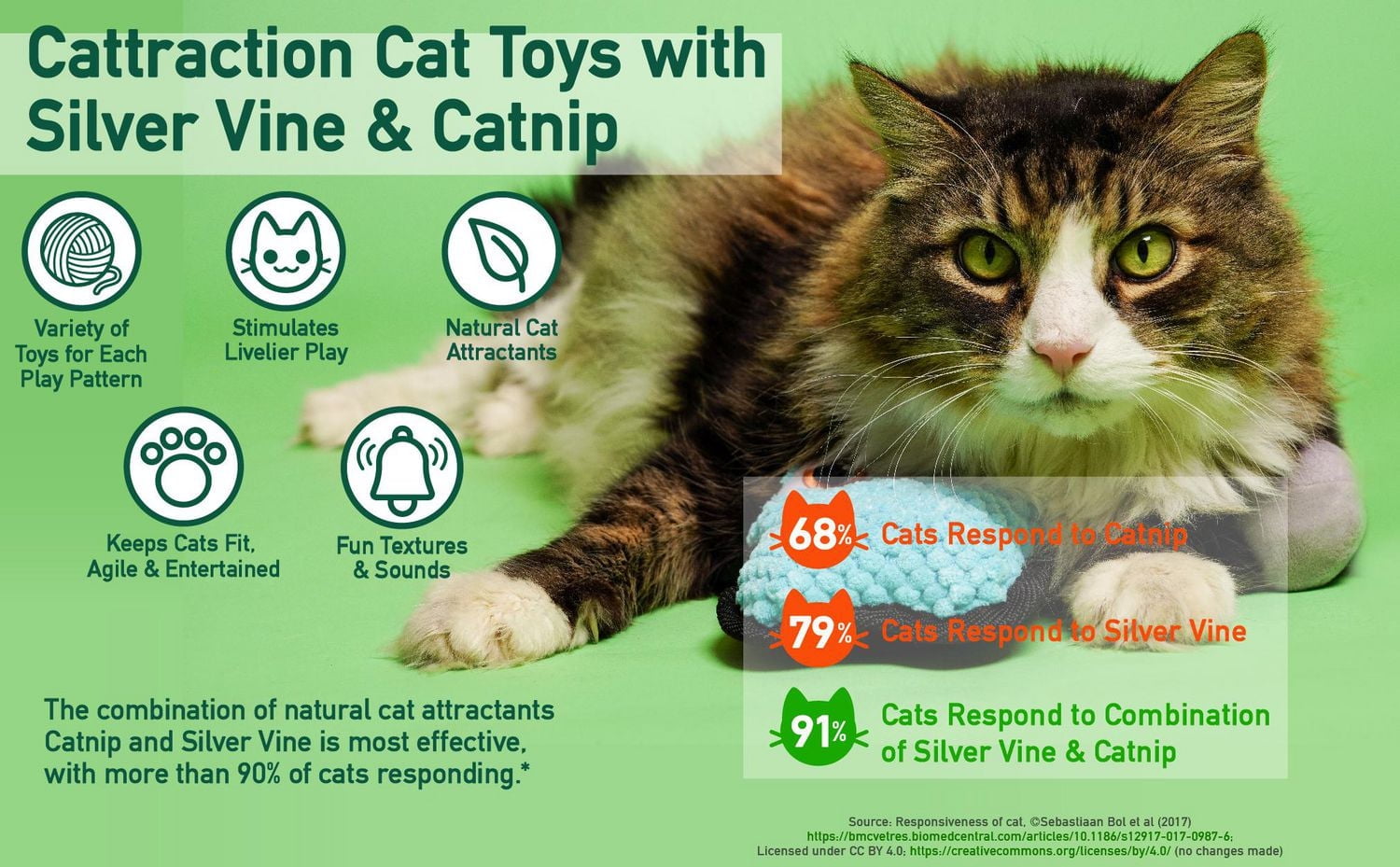 Hartz Cattraction Crinkle Mice Jouet pour chat avec vigne argentée et herbe à chat, 10 ct Jouet pour chat Silvervine