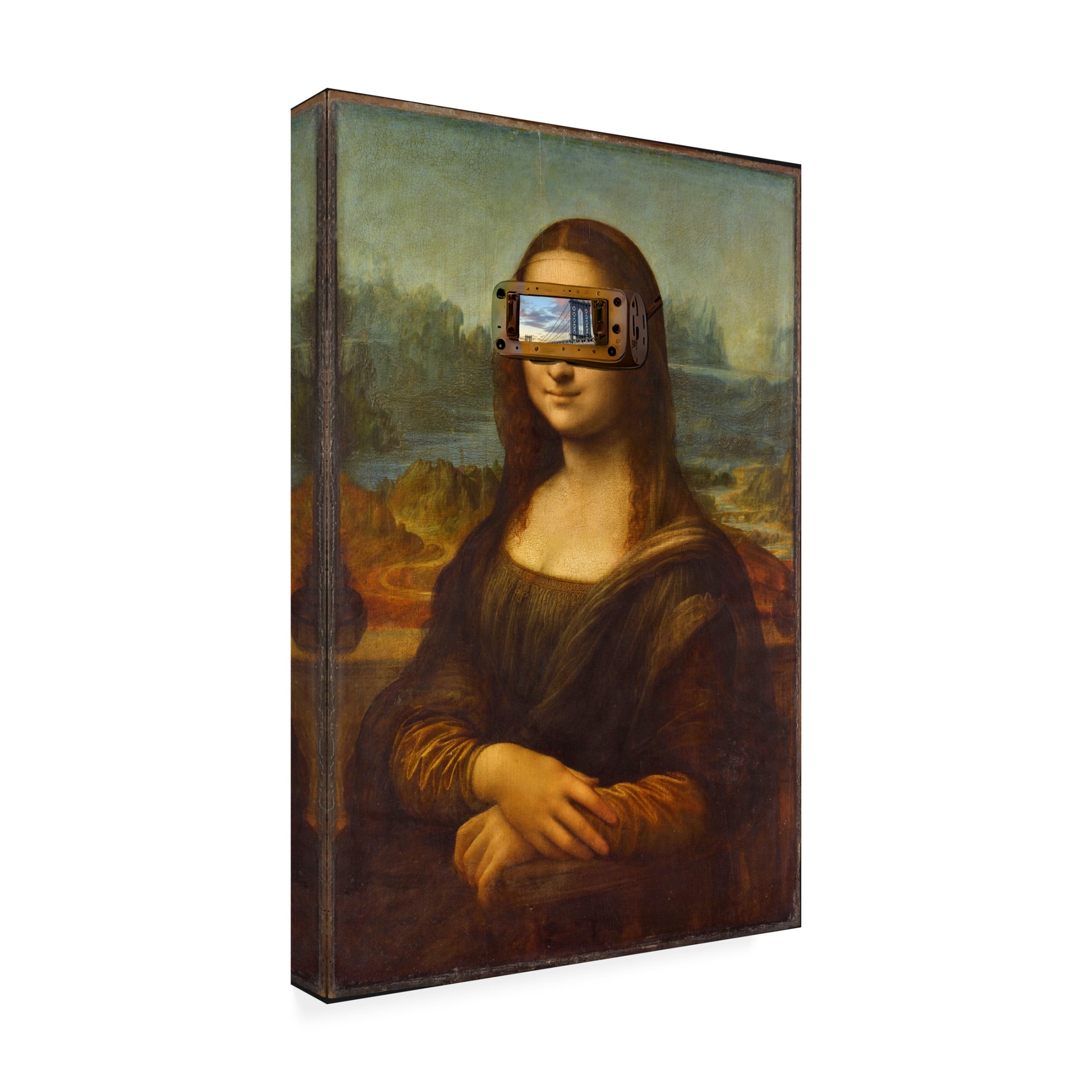 Canvas Wall Art - Sasha 'Virtual Mona' Wall Art for Living Room, Bedroom, or Office Décor by Trademark Fine Art - 16 x 24 Inches