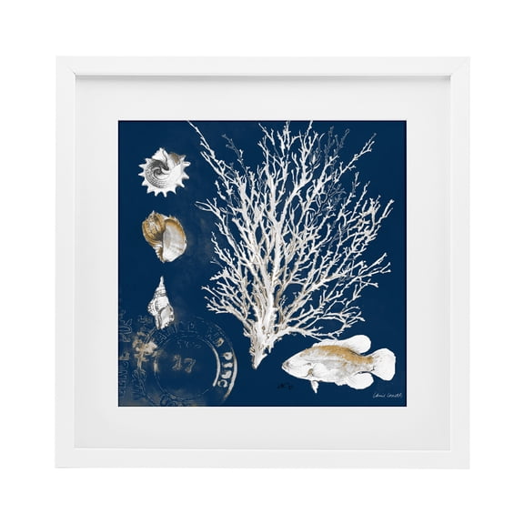 Stupell Industries Coastal Coral Medley on Navy White Framed Print Under Glass, 13 x 13, by Lanie Loreth