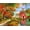 Autumn Barn, variant on Springbok State Plates 400 Piece Jigsaw Puzzle – U.S. State License Plate Collage, Family-Friendly Puzzle, Made in USA