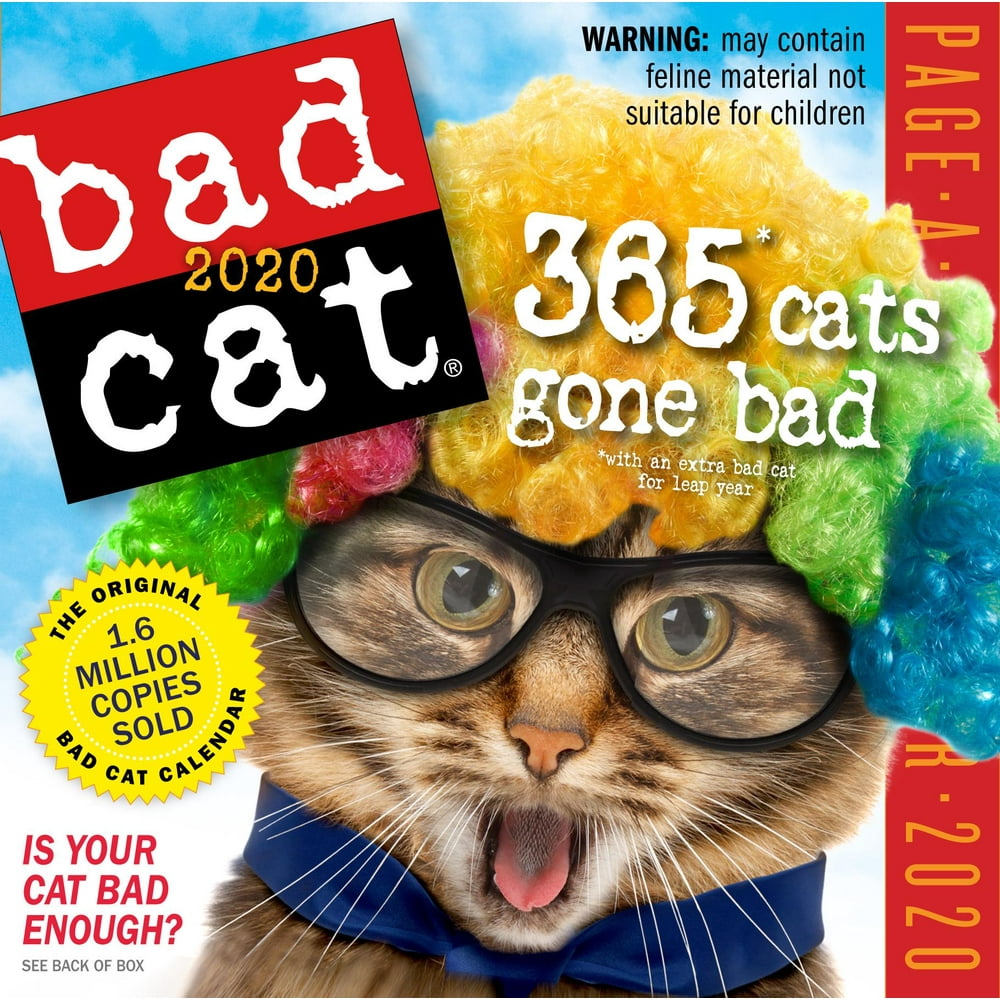 Bad Cat Page-A-Day Calendar 2020 (Other) - Walmart.com - Walmart.com