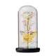 thumbnail image 1 of Galaxy Rose Flower Flor artificial Rose en cúpula de vidrio con mariposa Colorful LED Light Rose, 1 of 6