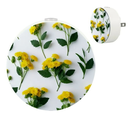 

YZUOUZY Bedside Lamps Bedroom Lamp Bedside Lamps Set of 2 Yellow Mimosa Bouquet White Background