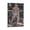 Frame-style, variant on Max Holloway Canvas Poster Art Poster Canvas Painting Decor Wall Print Photo Gifts Home Modern Decorative Posters 20x30inch(50x75cm)