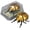 10Pack-QA777, variant on 10 Pack Realistic Interactive Insect Toy Collection For Educational Play Indoor Outdoor Use