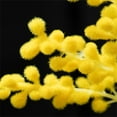 thumbnail image 4 of Luxcidy Artificial Yellow Flowers Acacia, 19.6" Long Stem Mimosa Flowers, Spring Flower Fake Easter Flowers for Home Decor, 4 of 9