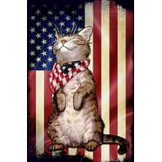 Cat 9 American Flag