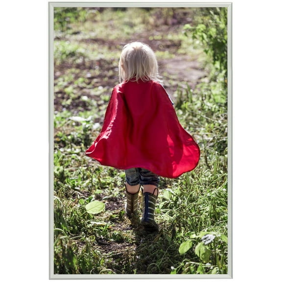 Poster Snap Frame for 40” x 60” Graphics, Wall Mounted, Hinged Edging for Front-Loading Setup – Silver 1-1/2” Wide Aluminum Framing (QCSLV4060)