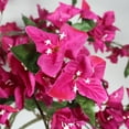 thumbnail image 3 of 6FT Realistic Artificial Bougainvillea Tree - Potted Flowering Fake Plant 1pc Set for Indoor Home Decor, 3 of 9