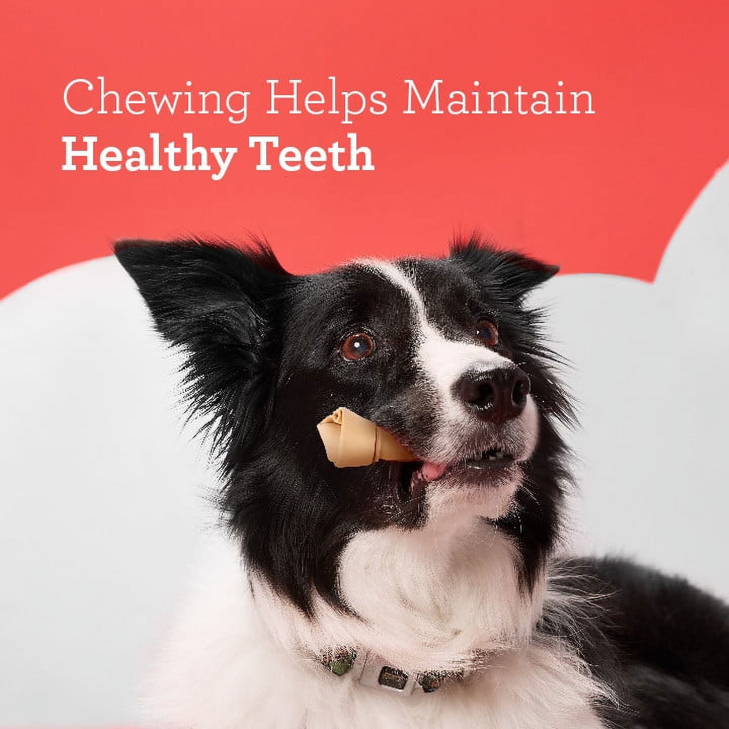 (3 pack) DreamBone Small Chews with Real Chicken, Rawhide-Free Chews for Dogs, 12 Count