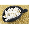 thumbnail image 6 of TomorrowSeeds - Japanese White Hulless Popcorn Ornamental Corn Seeds - 300+ Count - For 2026 Planting, 6 of 9