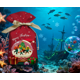 thumbnail image 4 of 50Pcs Christmas Cellophane Bags, Small Goodies Bags with Drawstring Xmas Candy Gift Bags for Christmas Party Favor, Holiday, Snack, Wrapping Presents, 4 of 4