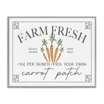 Farm Fresh Carrot Patch Seasonal Springtime Vegetables Gray Framed Giclee Art, 20 x 16, By JJ Design House LLC